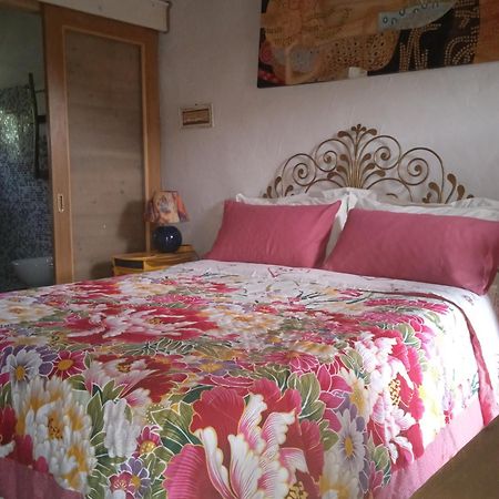 Bed and Breakfast Poggio del Sole Bassano del Grappa Esterno foto